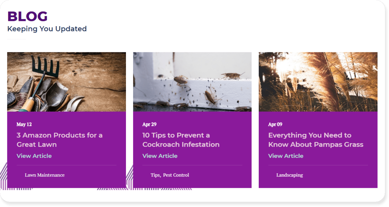 purple care website design